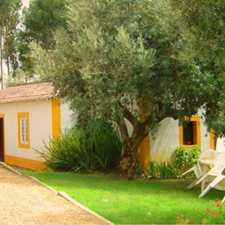Вілла Quinta Do Pinhal Констансія Екстер'єр фото