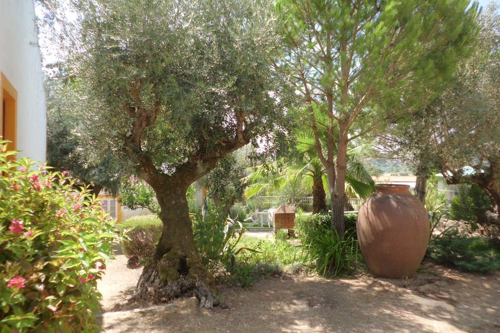 Вілла Quinta Do Pinhal Констансія Екстер'єр фото